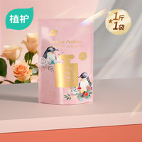 植护玫瑰香氛香水洗衣液 固色护色防串色大瓶家用整箱装洗涤液 1斤装-格拉斯玫瑰