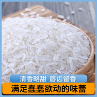 东铁村 真空保鲜 五常大米 真空包装 2.5kg 2.5kg