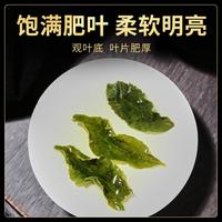 铁观音252g乌龙茶清香型茶叶精选口粮茶自饮待客大份量装茶叶