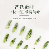 福东海 莲子心茶50克（5克x10袋） 高品质干货莲芯嫩芽泡茶煮水养生茶
