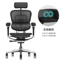 保友办公家具 保友金豪L2电竞人体工学椅久坐电脑家用办公老板座椅 黑色美国网 整椅发货 送货上门