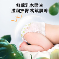 五羊 乳木果拉拉裤 成长裤XXXL码3片