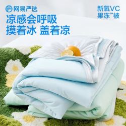 网易严选 果冻被空调被夏被 凉感值0.36 雪霜钰蓝150*200cm