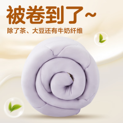 网易严选 瑞士蛋卷被 A类抗菌空调被子大豆纤维夏凉被835g 150*200cm芋紫
