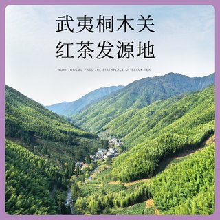 香缇时光 蜜香 红茶  蜜香红茶 盒装 100g