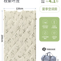 梵尔仕 FES-S61 成人护肩防踢睡袋 120*200cm