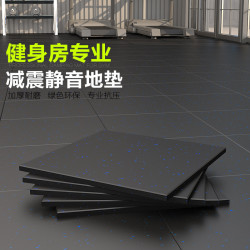 力诺 健身房专用橡胶地垫防震隔音运动地胶减震地板哑铃力量区拼接垫子
