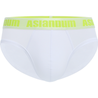 asianbum 冰感丝滑 男士三角裤 U520385