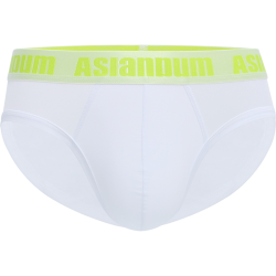 asianbum 冰感丝滑 男士三角裤 U520385