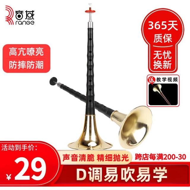 音域 Range D调唢呐仿乌木黄碗初学练习演奏高端成人唢呐乐器