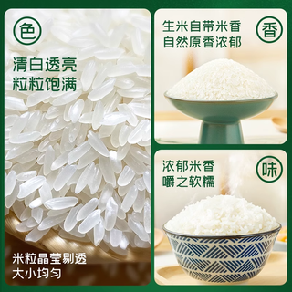  SHI YUE DAO TIAN/十月稻田 软糯 大米  5kg*2袋 袋装 10kg