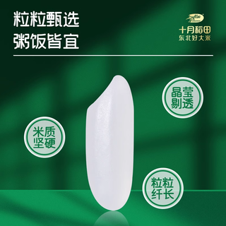  SHI YUE DAO TIAN/十月稻田 软糯 大米  5kg*2袋 袋装 10kg