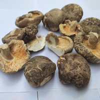 花菇哥 菌菇木耳 破片香菇碎花菇 150g