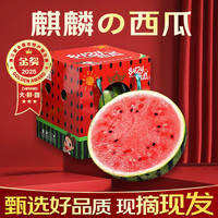 春福乐 麒麟西瓜新鲜水果当季现摘8424美都西瓜脆甜多汁无籽有籽整箱 净重4-5斤