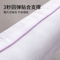 金号(KING SHORE)荞麦枕芯 定型枕头成人纤维枕 48*74cm 单只装