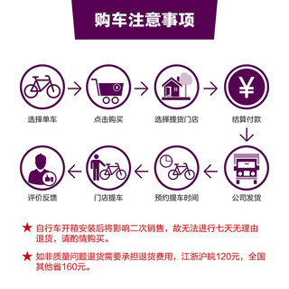 丽以芙（Liv）Avail AR 3碳纤维前叉18速碟刹女士舒适竞技弯把公路自行车 Sandshell 700C×480MM M 165-174cm