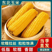 萌谷粒 中国大陆 黄糯玉米 250g*8根
