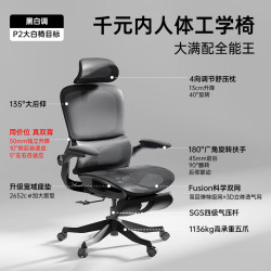 黑白调 P2Pro人体工学电脑椅  P2 Pro耀黑脚托