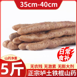 怀府农庄 垆土铁棍山药 5斤装 35-40cm