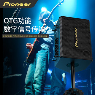 先锋（Pioneer） 音箱户外音响K歌广场舞台直播带蓝牙声卡功放话筒唱歌KTV乐器音箱 黑专业级乐器K歌音响带电池直播