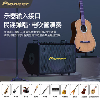 先锋（Pioneer） 音箱户外音响K歌广场舞台直播带蓝牙声卡功放话筒唱歌KTV乐器音箱 黑专业级乐器K歌音响带电池直播