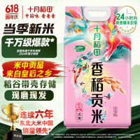 十月稻田 香稻贡米 5kg