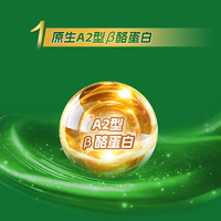 圣元圣特拉慕  婴幼儿配方羊奶粉2段900g 6-12个月 欧洲奶源 羊奶粉 6罐