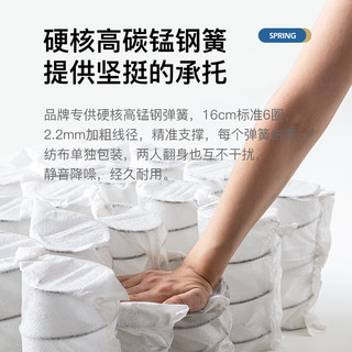  Asnug/爱舒 护脊弹簧 乳胶床垫+独立袋装弹簧+椰棕床垫  安睡A型23cm(1cm乳胶+护脊弹簧) 20-25cm（含） 偏硬