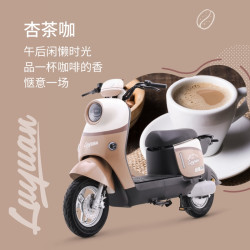 绿源 ZOF 电动自行车  LY2000DT-9