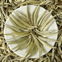 滇湘茶叶 2024年白毫银针白茶特级头采云南白茶 明前嫩芽芽尖新茶春茶 2024白毫银针 50g*1袋 【品鉴装】