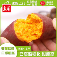 佳农 宝菜山东云溪蜜薯单果约80g+净重4.5斤