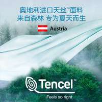 京东京造蚕丝被 兰精天丝夏凉被空调被蚕丝被100%蚕丝凉感被1.8x2.1m