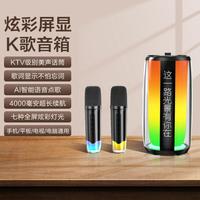 纽曼 Newsmy蓝牙音箱音响唱歌K歌麦克风音响一体式显示歌词KTV家用便携