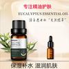尤加利精油10ml面部按摩精油肌肤保湿补水润肤已油养肤油