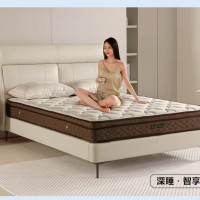 AIRLAND 雅兰 深睡智享独立袋装弹簧乳胶床垫 1800*2000*230mm