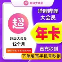 哔哩哔哩 bilibili 年卡 电视端 一年12个月