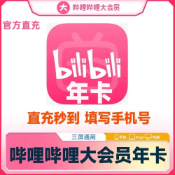 哔哩哔哩 bilibili 大会员一年 （不支持电视端）