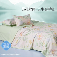 百丽丝家纺夏被2025新款蚕丝被空调被抗菌水洗有机蚕丝夏被夏季被子被芯 抗菌水洗有机蚕丝夏被 220cm*240cm