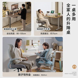 乐歌双电机升降桌台式电脑桌办公桌学习桌家用书桌子E5X/1.6雅白