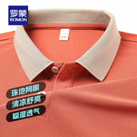 ROMON/罗蒙 商务休闲 男士POLO衫
