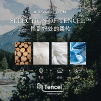 AusGolden海系列轻奢60支莱赛尔兰精天丝棉四件套夏季凉感床单被罩枕套· 精灵乐章 1.8m床单款(被套220*240cm)