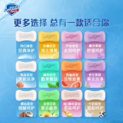 Safeguard 舒肤佳 香皂清洁抑菌洗澡沐浴皂家庭装品牌整箱100g×6