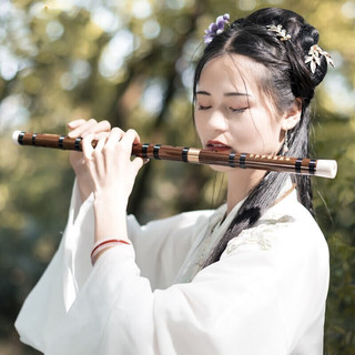 名森（Minsine）苦竹精制笛子竹笛 单插黄铜黑线圈初学横笛民族吹奏乐器 D18单插口/初学款 C调（进阶练气/音色低沉）