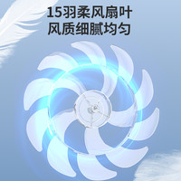 容声电器电风扇落地扇家用平面循环电扇台式强力宿舍大风力摇头扇