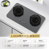 MIJIA 米家 MJ03CY 燃气灶 P1 天然气