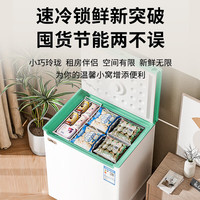 雪花（SNOWFLK）家用冰柜减霜小型冷冻保鲜冷藏转换柜商用卧式冷柜迷你两用 【一级能效】 68L 【单温】加厚款