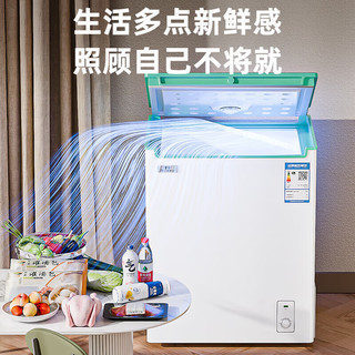 雪花（SNOWFLK）家用冰柜减霜小型冷冻保鲜冷藏转换柜商用卧式冷柜迷你两用 【一级能效】 68L 【单温】加厚款
