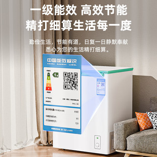 雪花（SNOWFLK）家用冰柜减霜小型冷冻保鲜冷藏转换柜商用卧式冷柜迷你两用 【一级能效】 68L 【单温】加厚款