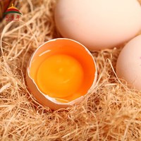 都丰年 DUFENGNIAN富硒可生食鲜鸡蛋30枚无抗优质蛋白轻食早餐食材源头直发