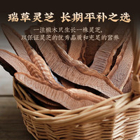 加邮邮政农品霍山灵芝60g大别山非野生赤灵芝片泡水片大均匀芝气浓郁